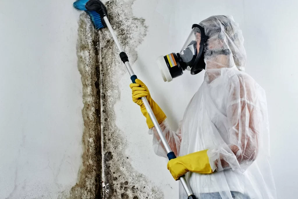 1990c520bf37a0d8cd5149542cf537a108cf1902